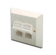 DN-93805 DIGITUS лицевая панель 2х Keystone 86х86