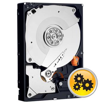 HDD for servers Western Digital wd1503fyys