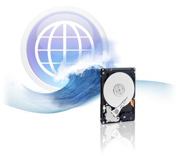 HDD wd3200bevt